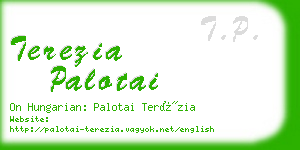 terezia palotai business card